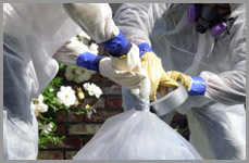 industrial lead paint removal los angeles CA